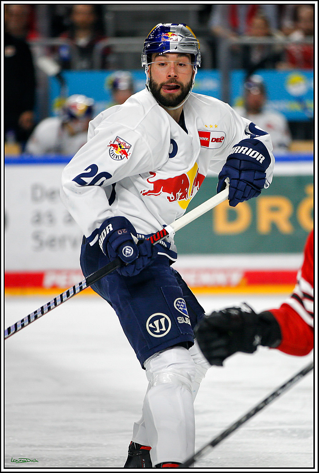 PENNY DEL; Koelner Haie- Red BUll Muenchen; Koeln, 08.11.2022